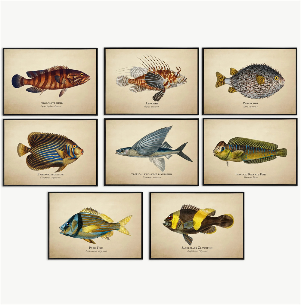 Vintage Pictures Tropical Fish - Marine Life Aquariums 评论和价格