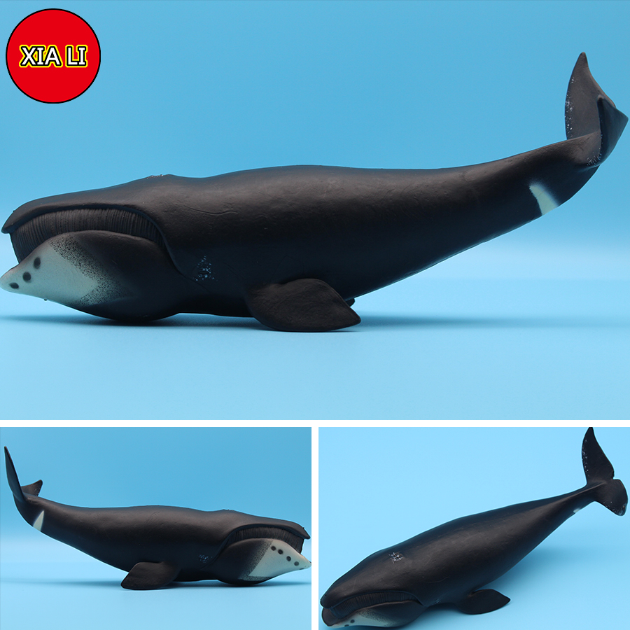 Ocean Sea Life Simulation Kill - Marine Life Aquariums 评论和价格