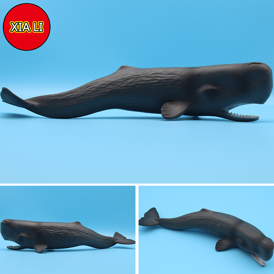 Ocean Sea Life Simulation Kill - Marine Life Aquariums 评论和价格