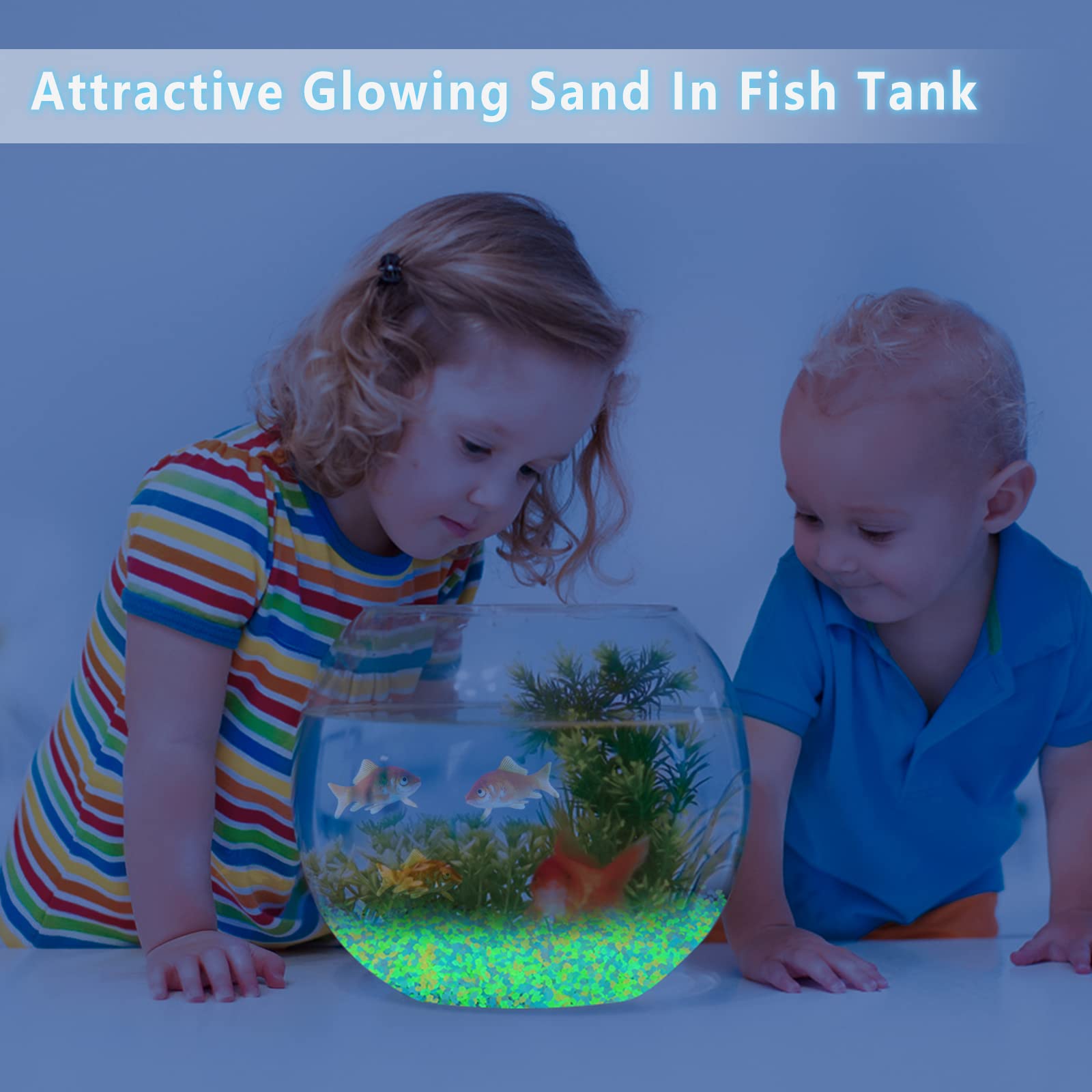 1000Pcs Luminous Sand Glow In  - Marine Aquarium Tanks 评论和价格