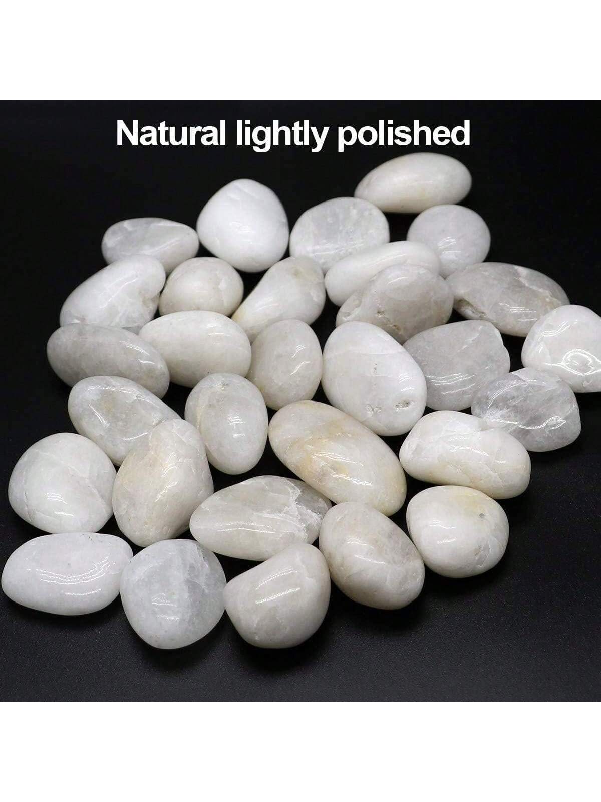 River Rocks Decorative Ornamen - Marine Aquarium Tanks 评论和价格