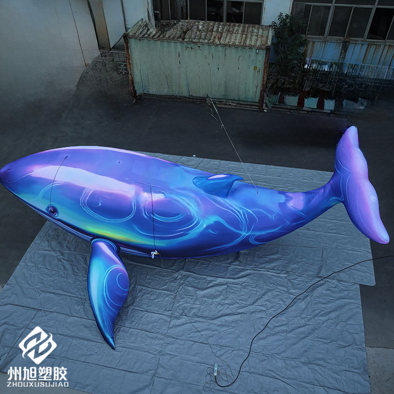 Inflatable blue whale, used as - Marine Life Aquariums 评论和价格