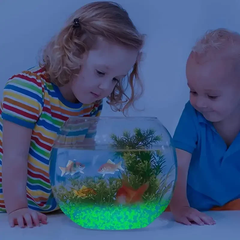 1000pcs 3-5mm Luminous Sand Gl - Marine Aquarium Tanks 评论和价格