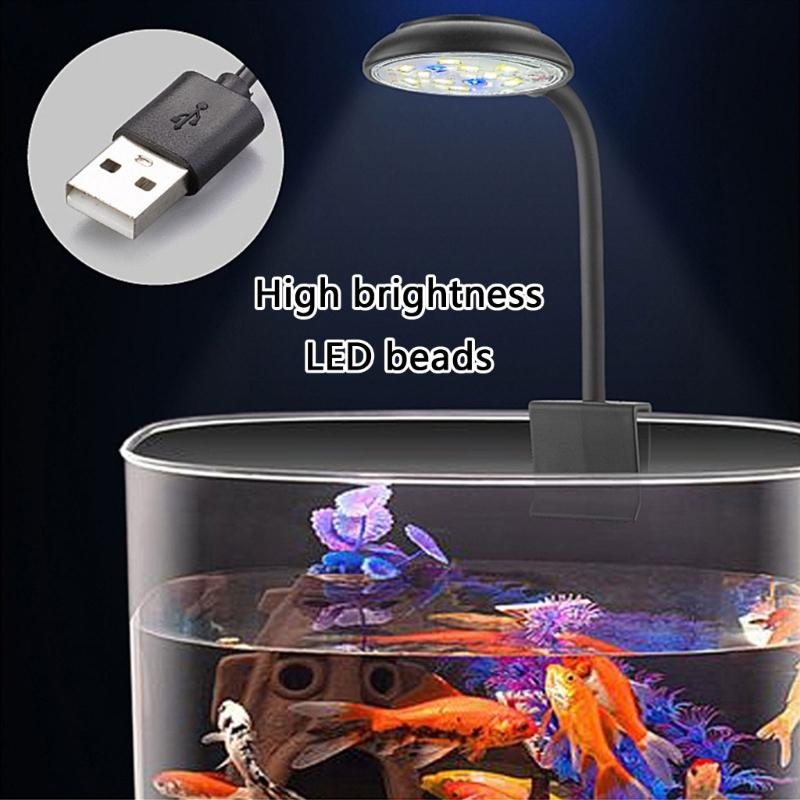 Adjusting Brightness LED Aquar - Marine Life Aquariums 评论和价格