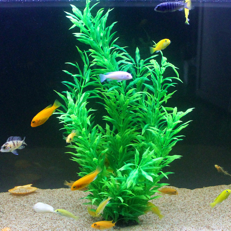 50CM Artificial Fish Tank Rare - Marine Aquarium Tanks 评论和价格